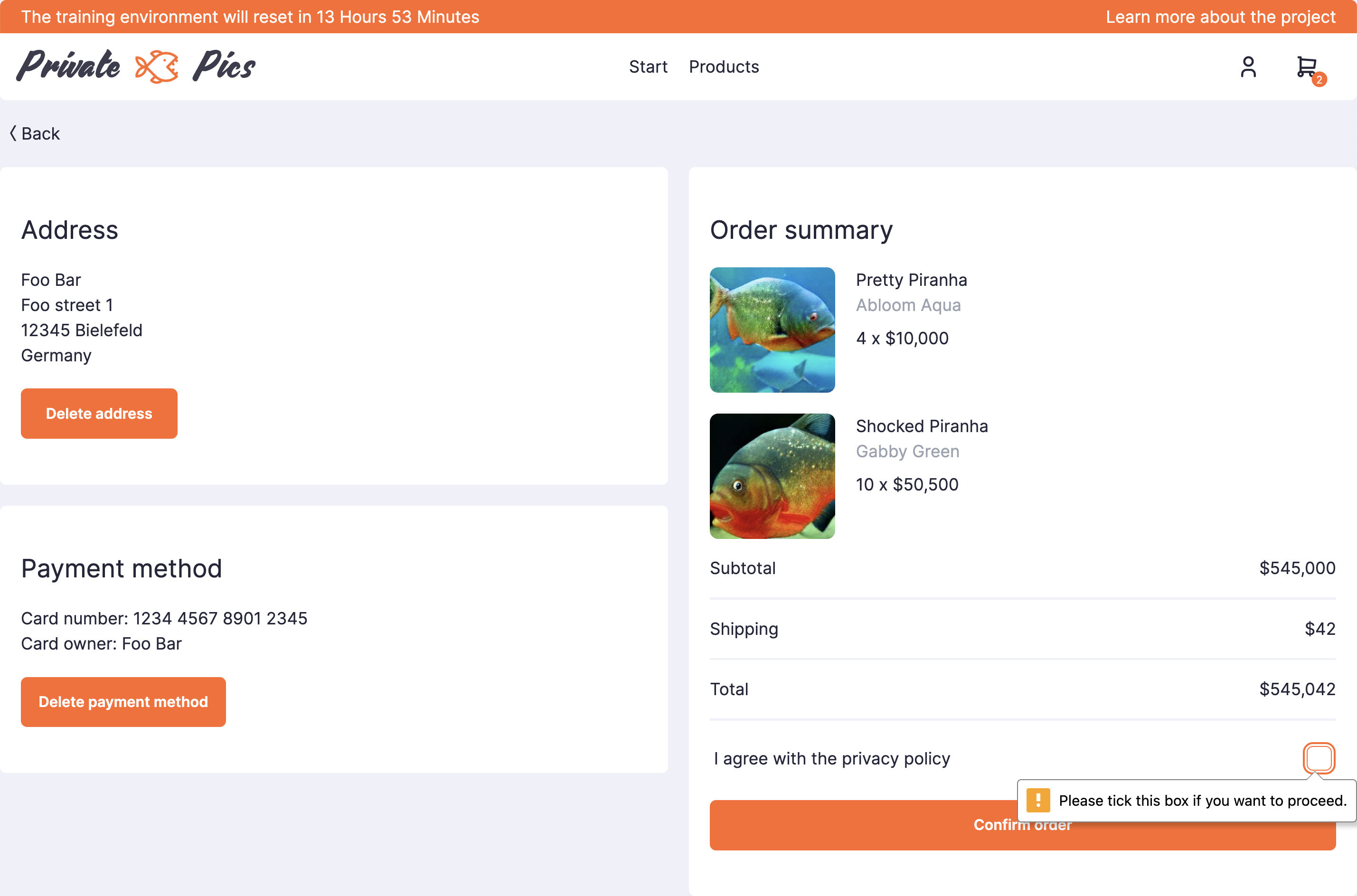 Problem 10: Agree with the Privacy Policy (Visible)