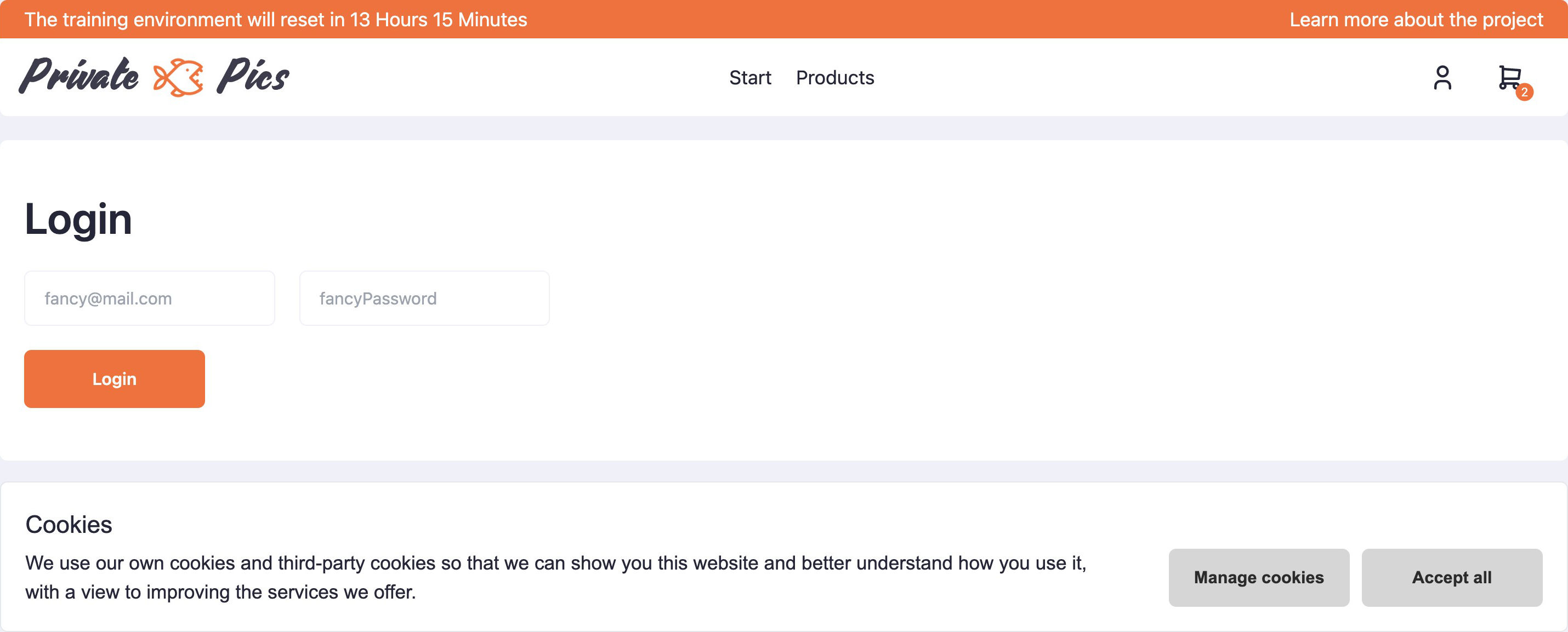 Problem 1: Inaccessible Privacy Policy (Visible)